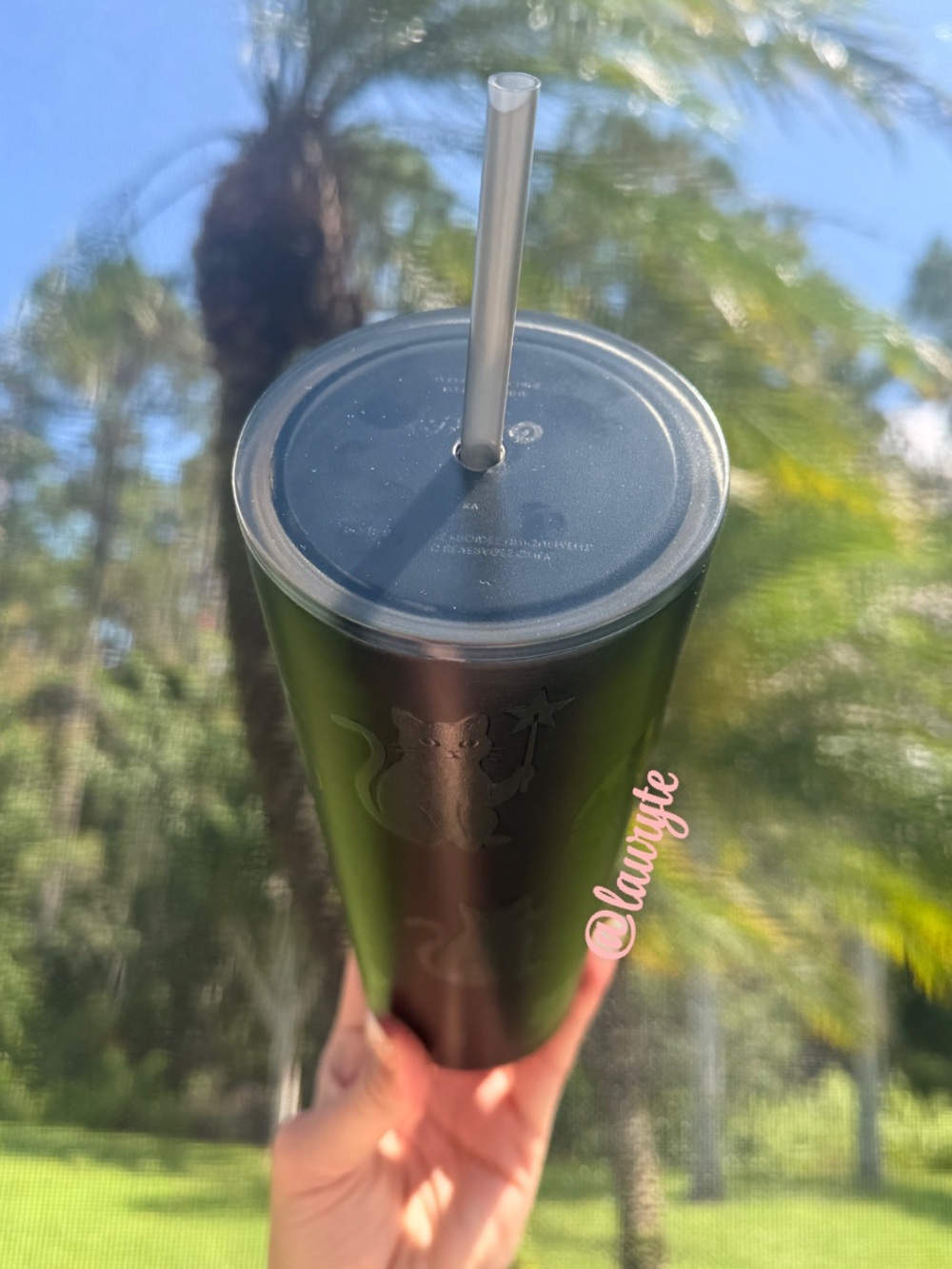 Starbucks 2026 Halloween Black Cat Glow In The Dark Stainless Tumbler - Picture 6 of 6